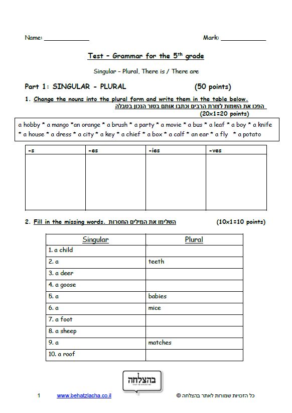 מבחן באנגלית לכיתה ה - Singular-Plural, There is/There are - Exam 2
